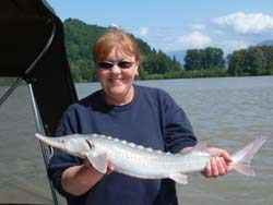 My wife Sue with her first White Sturgeon